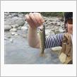 魚野の寄り道