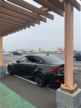 孫3 とまったりしてました。 (^ ^)
