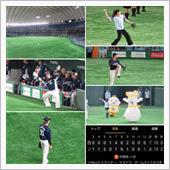 野球観戦（福岡ソフトバンクv ...