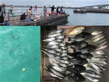 アジ釣り