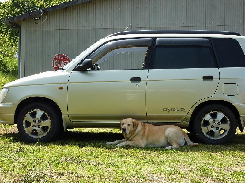 当時 ダイハツの最高級車 ダイハツ パイザーのクルマレビュー 藤ツボ万歩のページ フジツボマンボ みんカラ