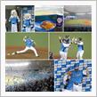 野球観戦（埼玉西武vsオリックス）