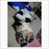 嫁ぎました(*^.^*)