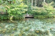 ルキヤと小春の夏休み 2019　～名もなき池編～