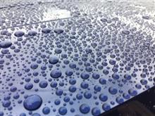 洗車ごくろうさま。でも午後から雨だよ。