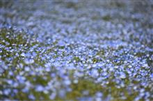 いつかのBlue *