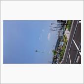 しかし暑い☀😵💦