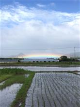 めっちゃ低い虹🌈