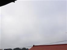 ８月４日　ちょっとテンションの上がらない日曜日、おはよ～♪
