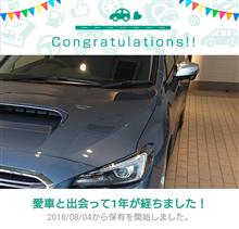 愛車と出会って1年! 愛車と出会って1年!