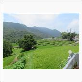 棚田に恋　№１　香川県　中山 ...