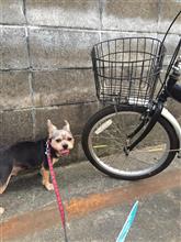 花火大会行ったんデスが・・・ 花火大会行ったんデスが・・・