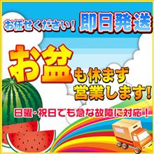 お盆も休まずやってます!!毎日営業中です(*゚∀゚) お盆も休まずやってます!!毎日営業中です(*゚∀゚)