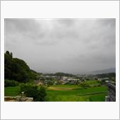 今日は平和記念日です