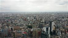 お仕事をした日曜日(;_;)/~~~ お仕事をした日曜日(;_;)/~~~