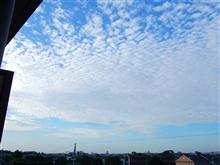 ８月８日　出張疲れの残る木曜日、おはよ～♪