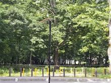 日光鬼怒川へ　①