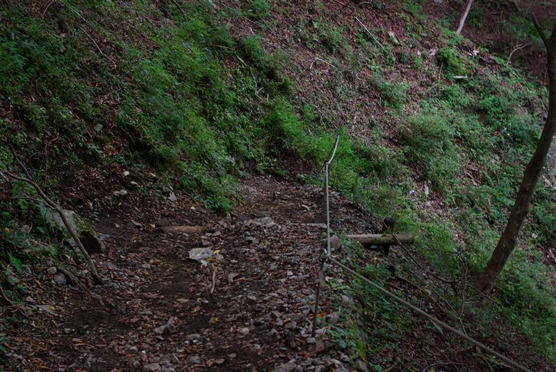 夏休みの自由研究 山ヒルや寄生虫 Ghiaのブログ 乗れば絶対に楽しい欧州フォードのスタンダードモデル フィエスタ みんカラ 夏休みの自由研究 山ヒルや寄生虫 Ghiaのブログ 乗れば絶対に楽しい欧州フォードのスタンダードモデル フィエスタ みんカラ