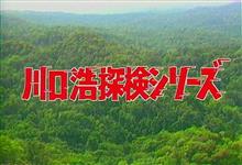 鍾乳洞で涼しんで来ました😄