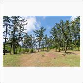 角田浜キャンプと弥彦山