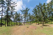 角田浜キャンプと弥彦山