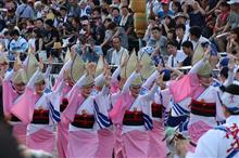 阿波踊り2019 阿波踊り2019