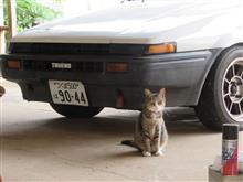 勘違い(^^;