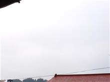 ８月１８日　お盆休みも最終日な日曜日、おはよ～♪