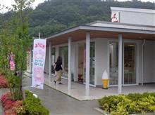 福島の桃狩りと飯坂温泉旅行