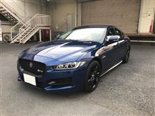 久々の早朝ラン 久々の早朝ラン
