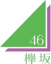 欅坂46仕様(笑)のUSBメモリースティック(^^ゞ 欅坂46仕様(笑)のUSBメモリースティック(^^ゞ