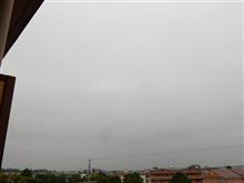 ８月２２日　急遽お出掛けになった木曜日、おはよ～♪