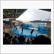 水族館。
