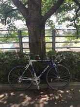 散歩