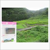 棚田に恋　№3　島根県大井谷