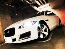 Jaguar XF 25t