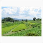 棚田に恋　　№４　島根県山王 ...