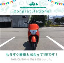 愛車と出会って1年！