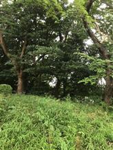 散歩と給油