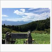 富士山が見えればなお良かったね