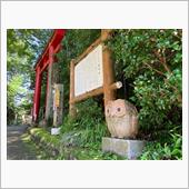 行ってきたでげそ