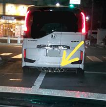 ぜんぶ本物?！