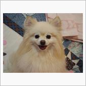 みんカラ登録まる10年