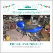 愛車と出会って1年