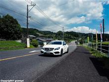 お盆休み2、鹿児島、周辺の緑地活動 お盆休み2、鹿児島、周辺の緑地活動