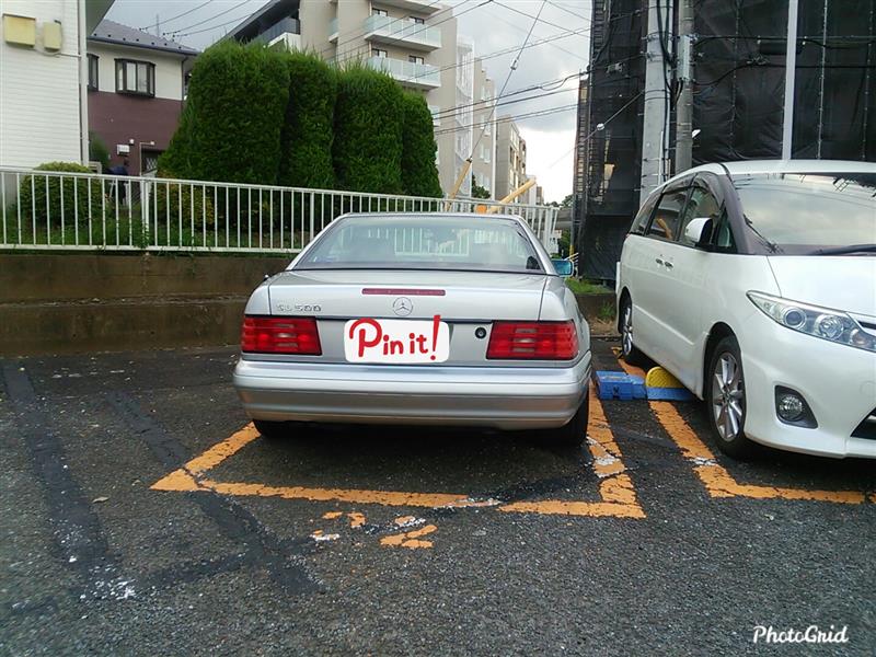 地鶏 合鴨 アヒル 真鴨 Camel Toe Z5のブログ Camel Toe Z5のページ みんカラ
