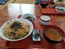 新しい相棒がやって来た② レトロ食堂にてカツ丼を愉しむ 新しい相棒がやって来た② レトロ食堂にてカツ丼を愉しむ