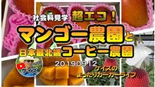 K&#39;sの【マンゴー農園、コーヒー農園の超エコな社会科見学】