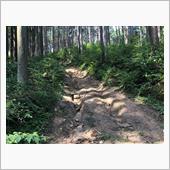 セロー、林道アタック