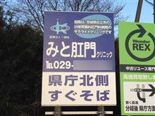 玉ねぎと長ネギの夢のコラボ! 玉ねぎと長ネギの夢のコラボ!